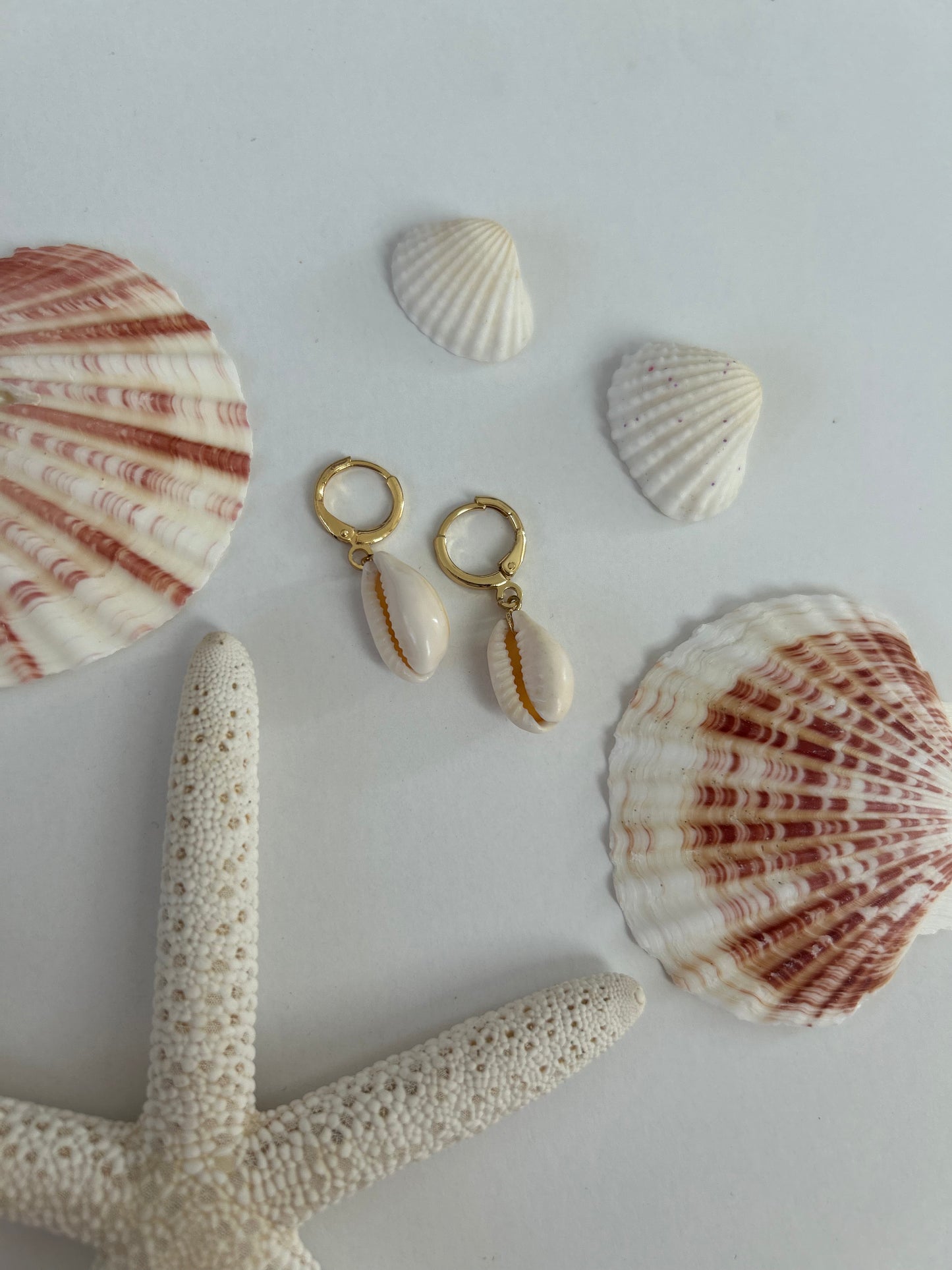 Shell Earrings